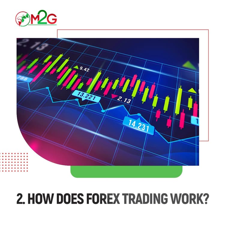 /images/blogs/How does forex trading work.jpeg
